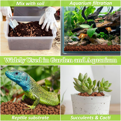 Sunwinx LECA balls orchid setup featuring breathable, well-drained substrate