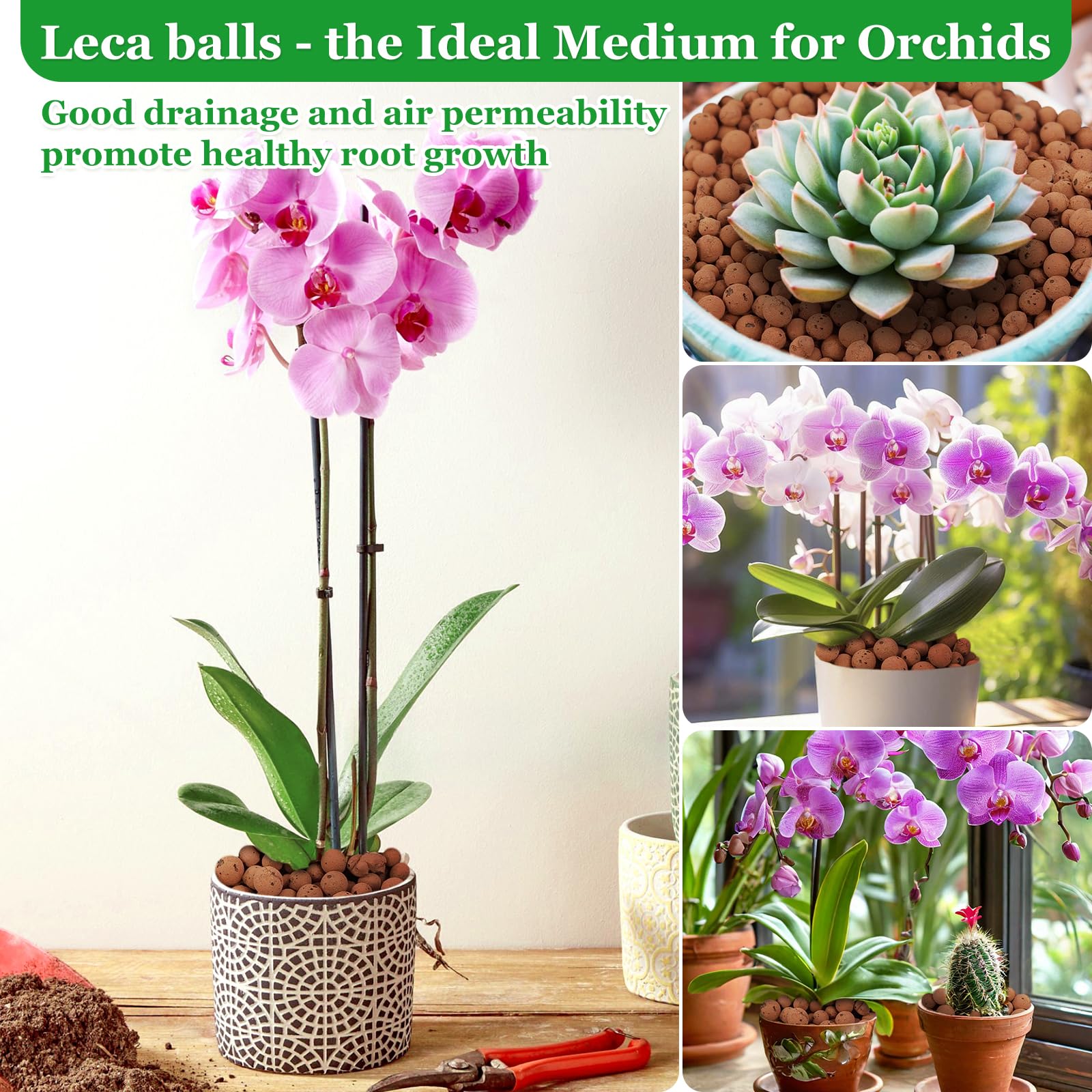 Sunwinx Leca balls terrarium substrate keeps humidity balanced.