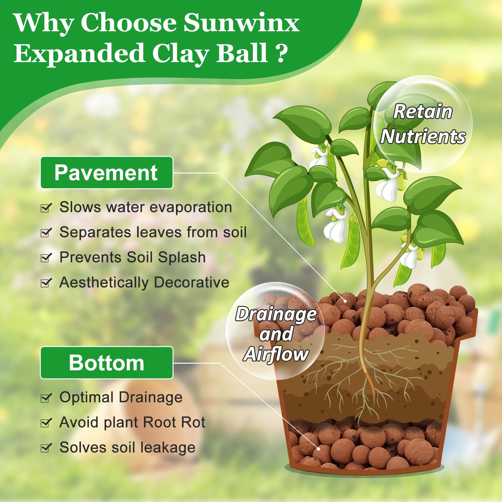Sunwinx Leca balls retain moisture and nutrients for steady uptake.