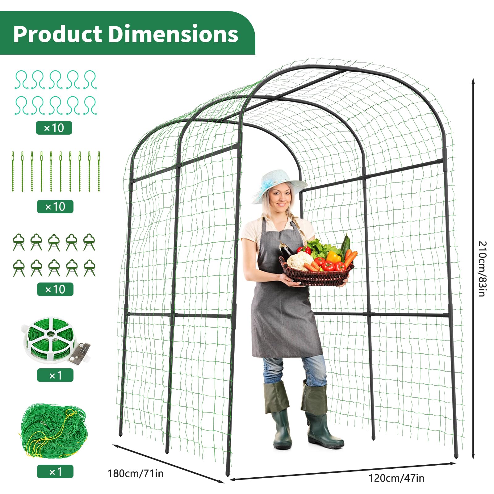 Sunyrisy climbing-plants frame helps train grapes and vines for a vertical garden effect.