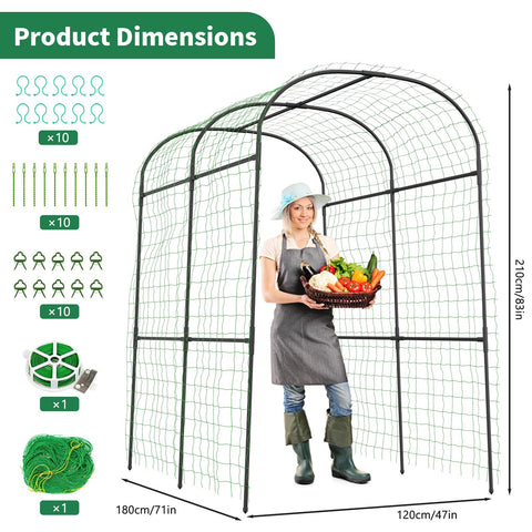 Sunyrisy climbing-plants frame helps train grapes and vines for a vertical garden effect.