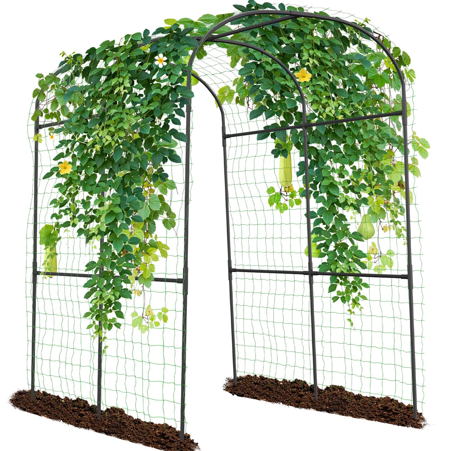 Sunyrisy garden arch trellis with a tall frame supports cucumber and tomato vines outside.