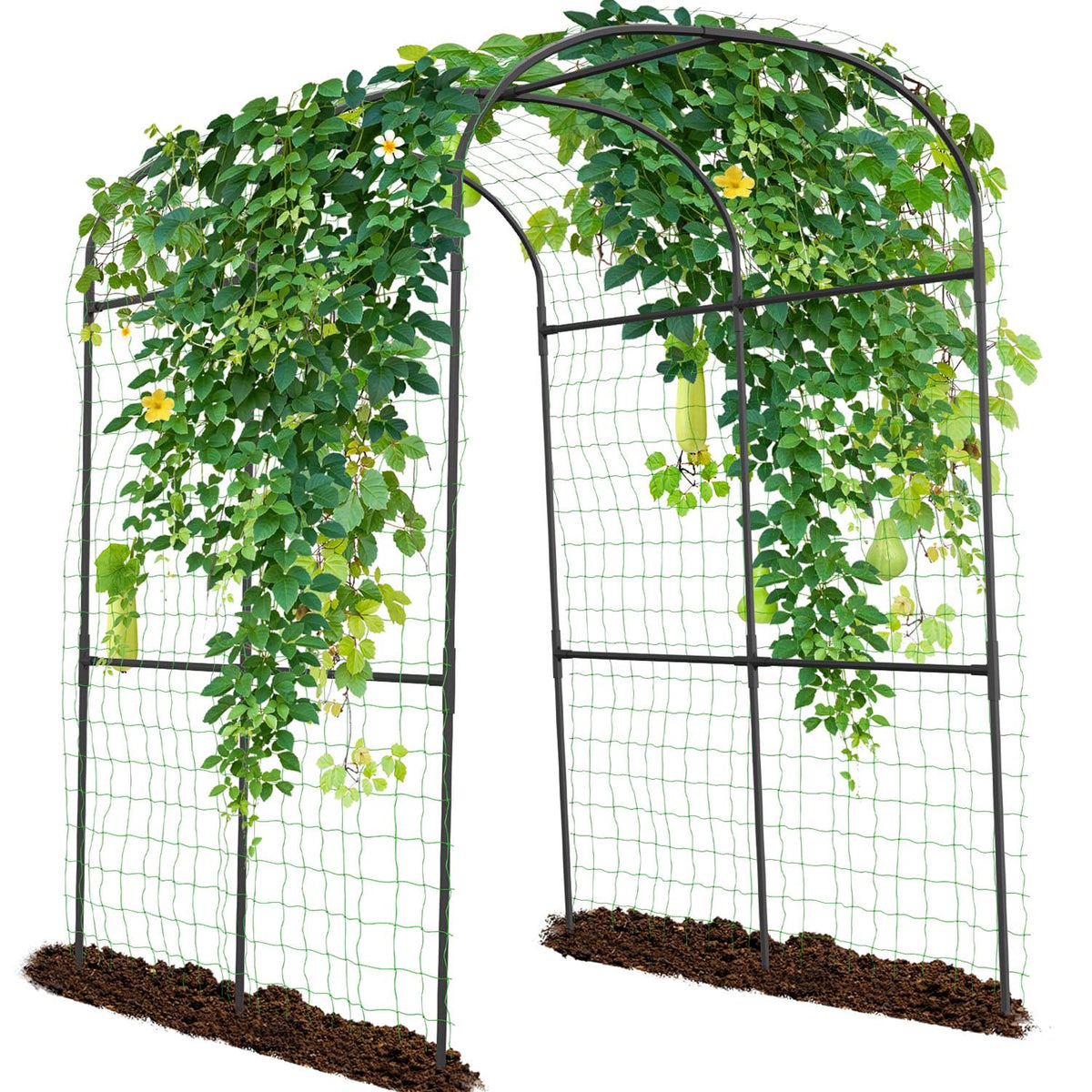 Sunyrisy garden arch trellis with a tall frame supports cucumber and tomato vines outside.