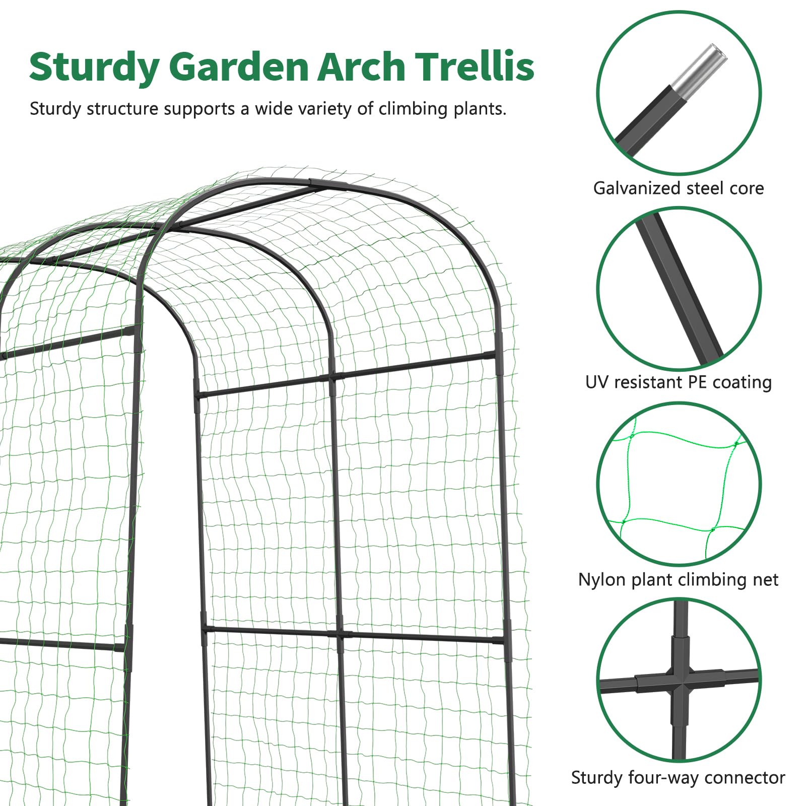Sunyrisy vine-training garden arch creates a green focal point in courtyards.