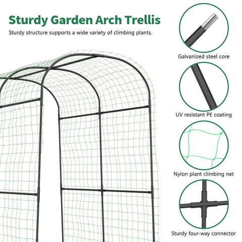 Sunyrisy vine-training garden arch creates a green focal point in courtyards.