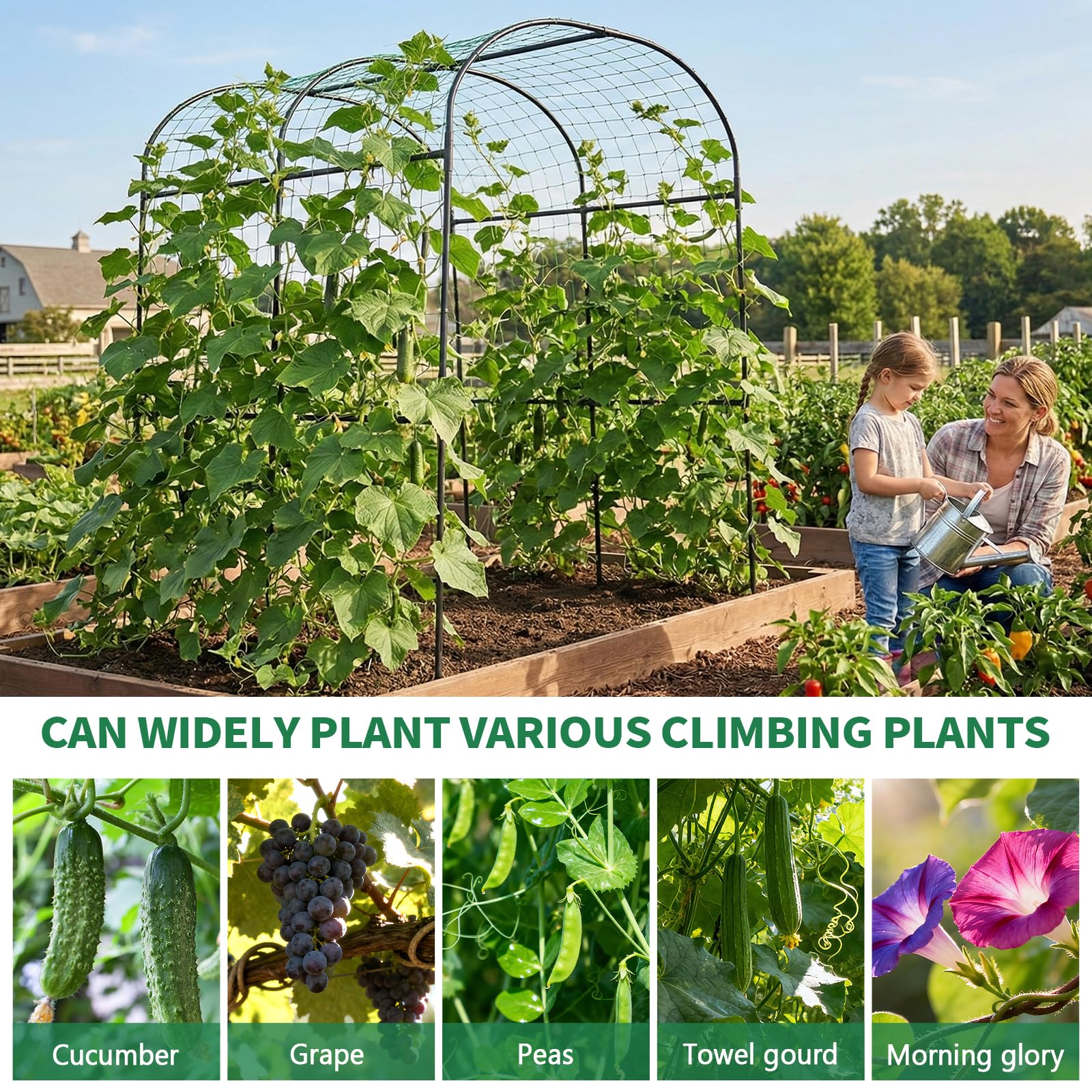 Sunyrisy weather-resistant arch supports year-round climbing plants in diverse climates.
