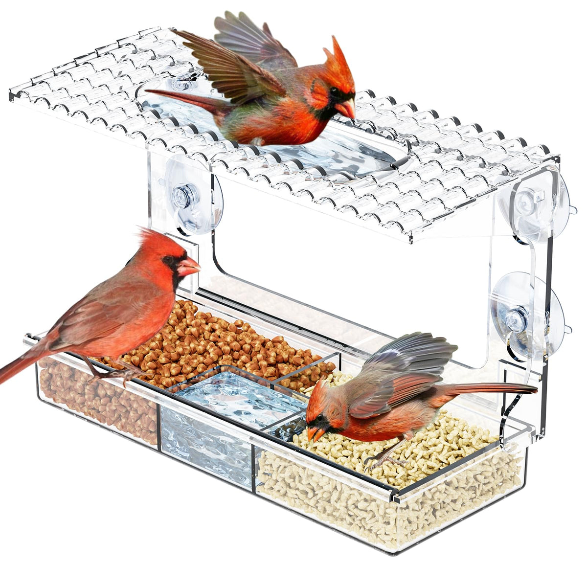 SuoXing Acrylcc window feeder with strong suction cups for secure mounting