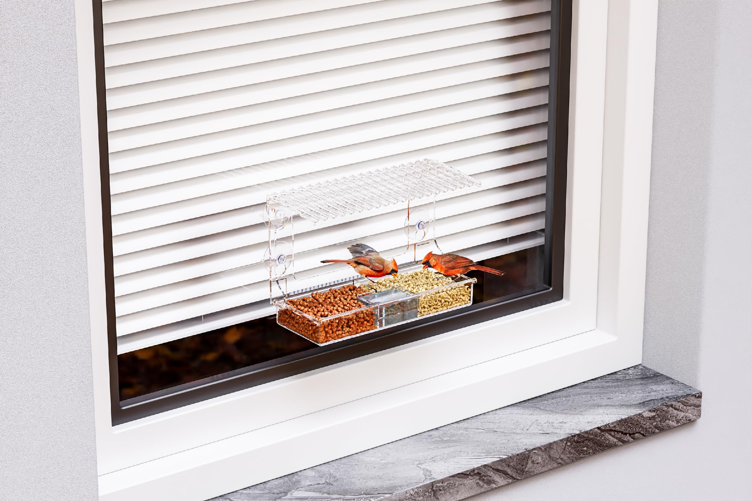 SuoXing two-compartment tray stores water and seeds efficiently.
