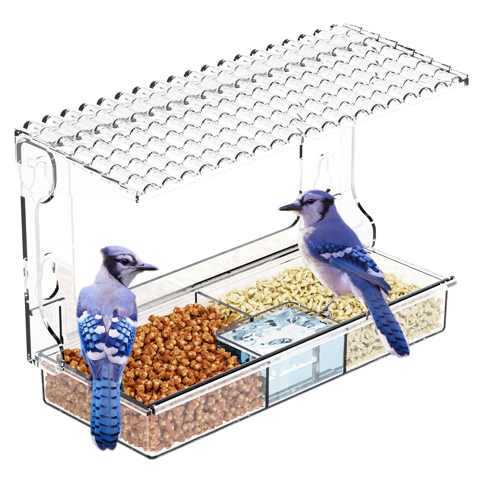 SuoXing window bird feeder with strong suction cups for secure indoor viewing.