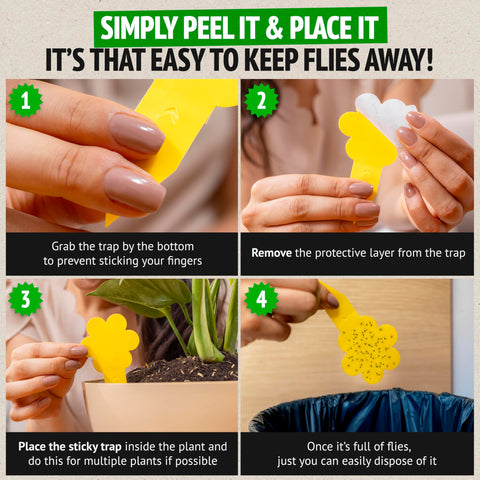 Super Ninja fruit fly bottle traps stay effective for weeks