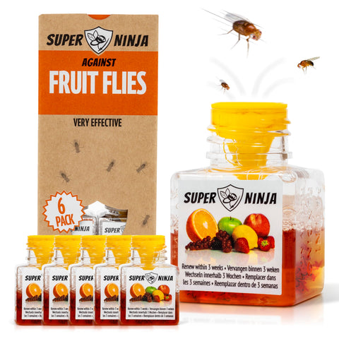 Super Ninja fruit fly traps pack-6 on kitchen counter for fast indoor control.