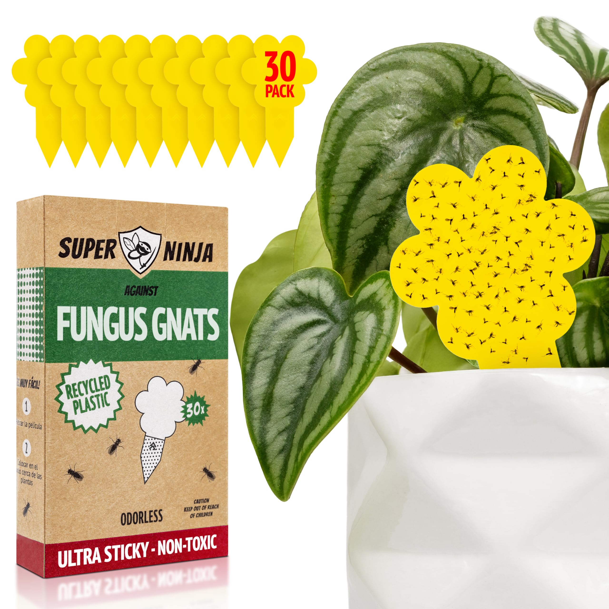 Super Ninja Fungus Gnat Traps 30-pack ready for indoor pest control around houseplants.