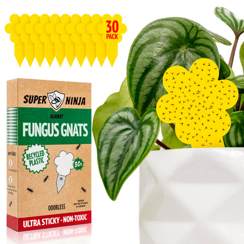 Super Ninja Fungus Gnat Traps 30-pack ready for indoor pest control around houseplants.