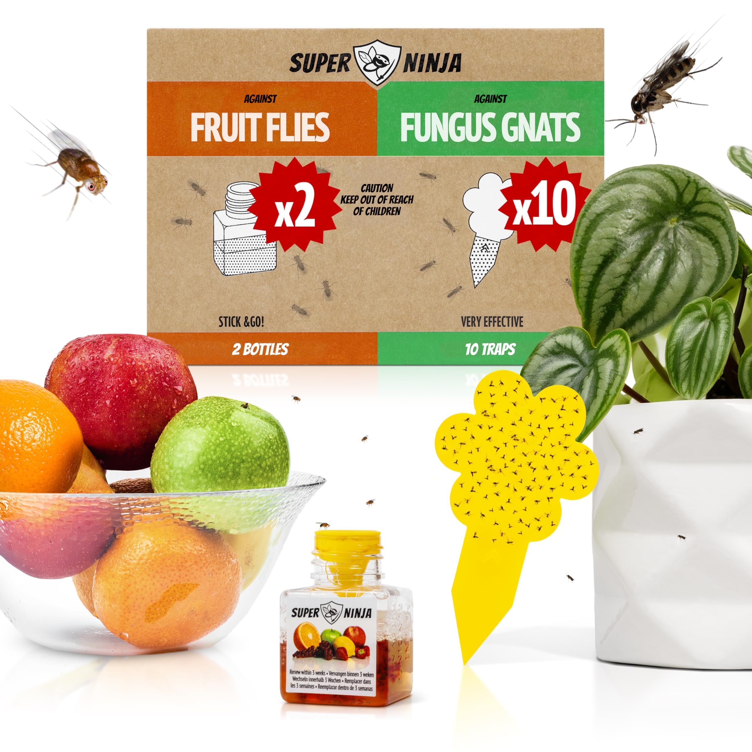 Super Ninja fungus gnat plant traps attract gnats for easy indoor control.