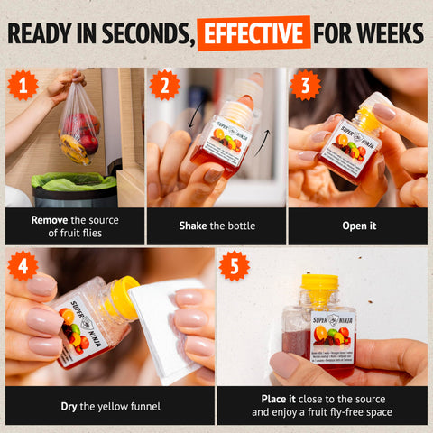 Super Ninja gnat traps stay sticky for up to three months
