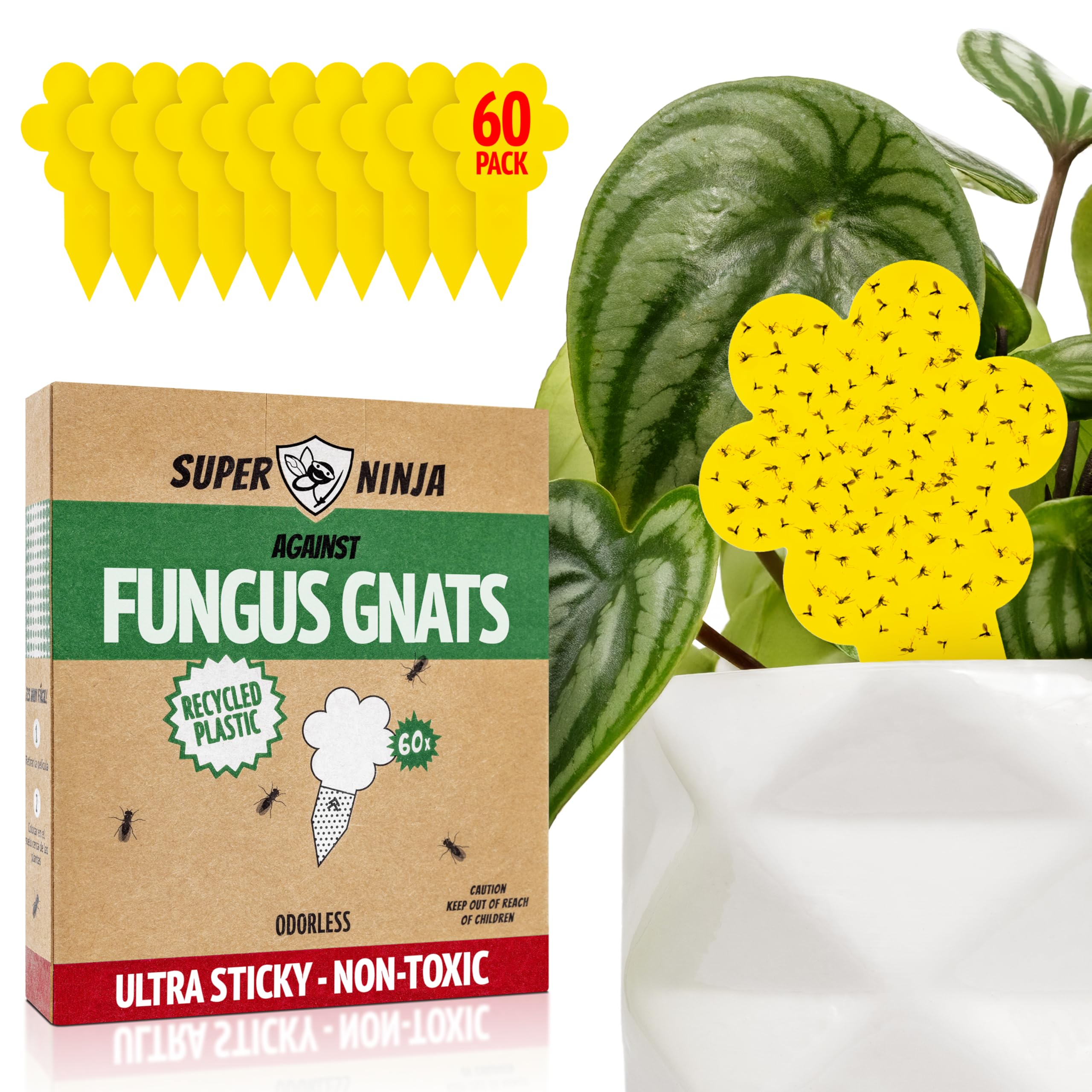 Super Ninja gnat traps in yellow close-up attract pests for indoor plant protection.