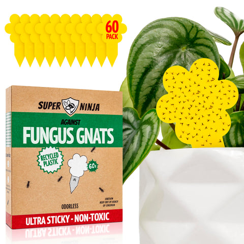 Super Ninja gnat traps in yellow close-up attract pests for indoor plant protection.