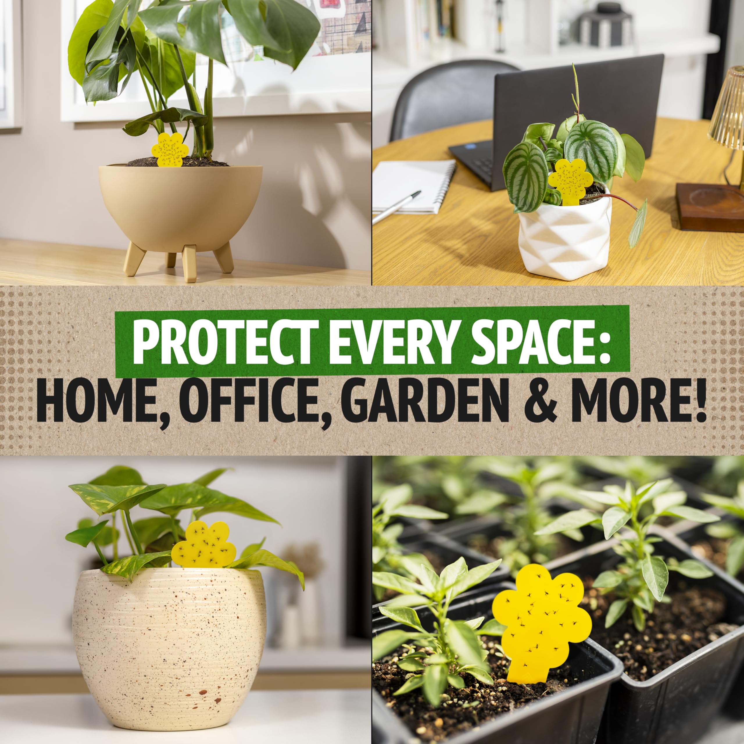 Indoor installation near plants helps protect foliage without harsh chemicals.
