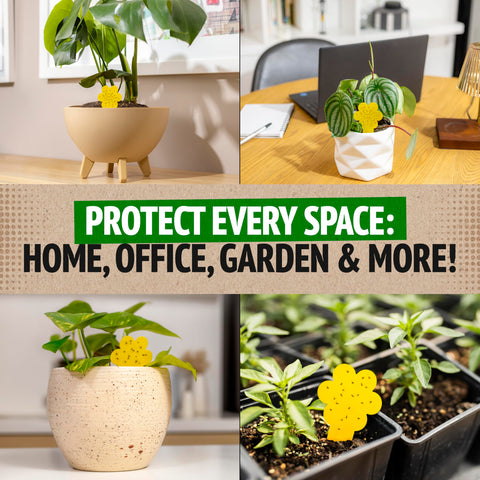 Indoor installation near plants helps protect foliage without harsh chemicals.