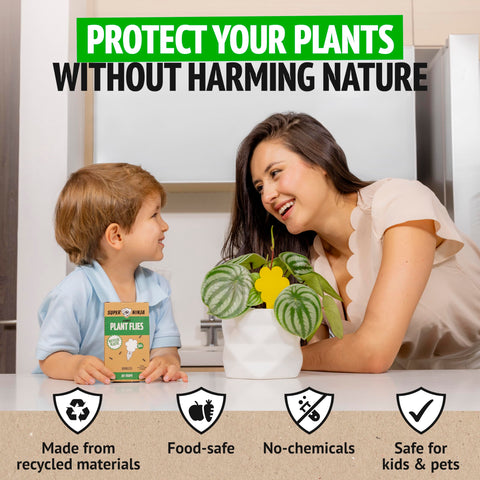 Non-toxic and eco-friendly materials ensure safe use around family.