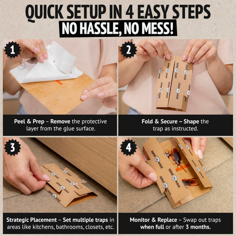 Super Ninja Roach Traps used in kitchen for safe indoor roach control