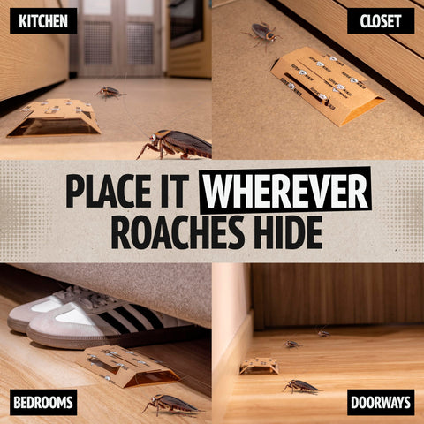 Packaging of Super Ninja Roach Traps is fully recyclable for responsible disposal
