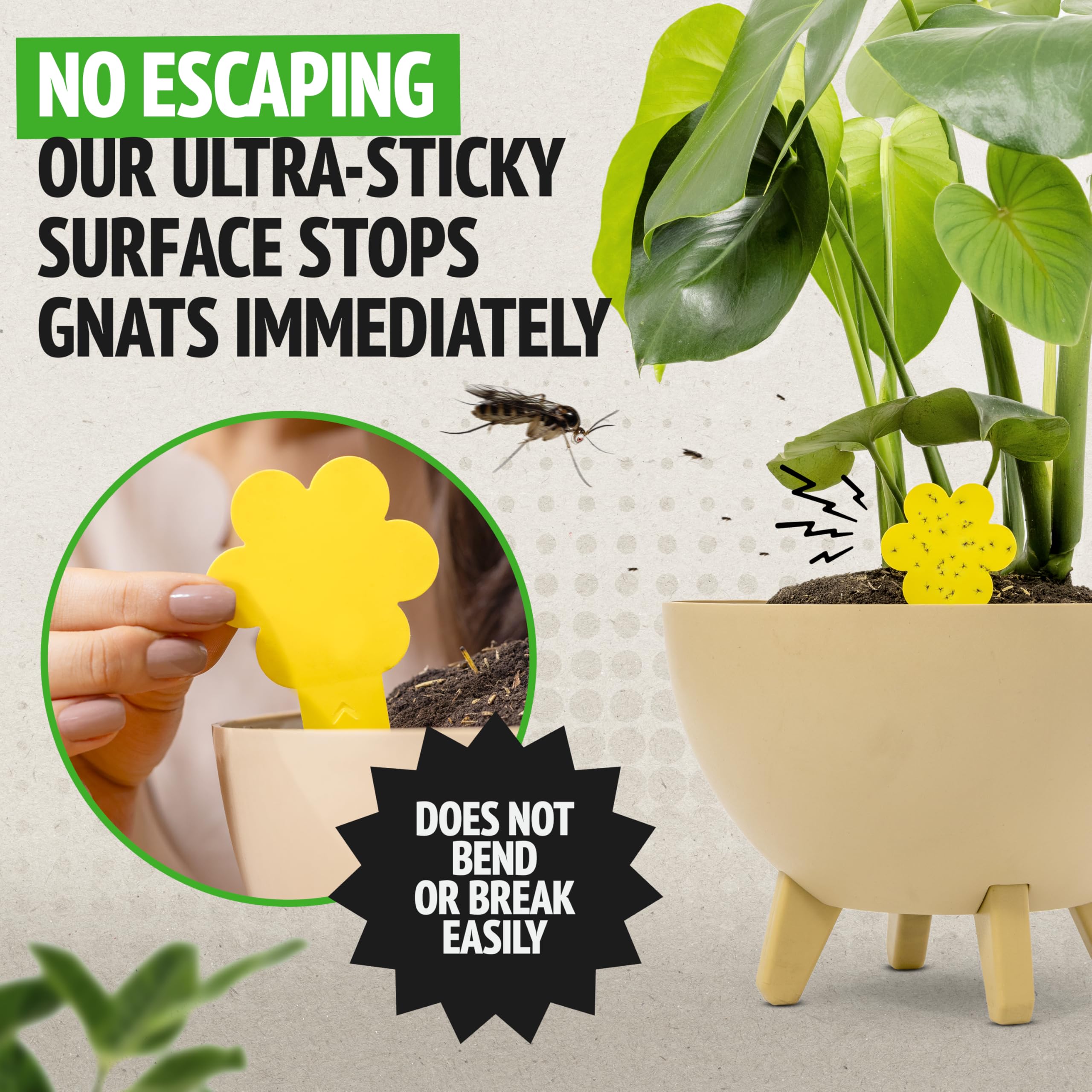 Yellow sticky trap closeup shows bright color attracting gnats and other pests.