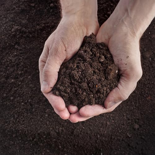 SuperMoss 01999 Agromin potting mix closeup reveals loamy texture supporting root growth.