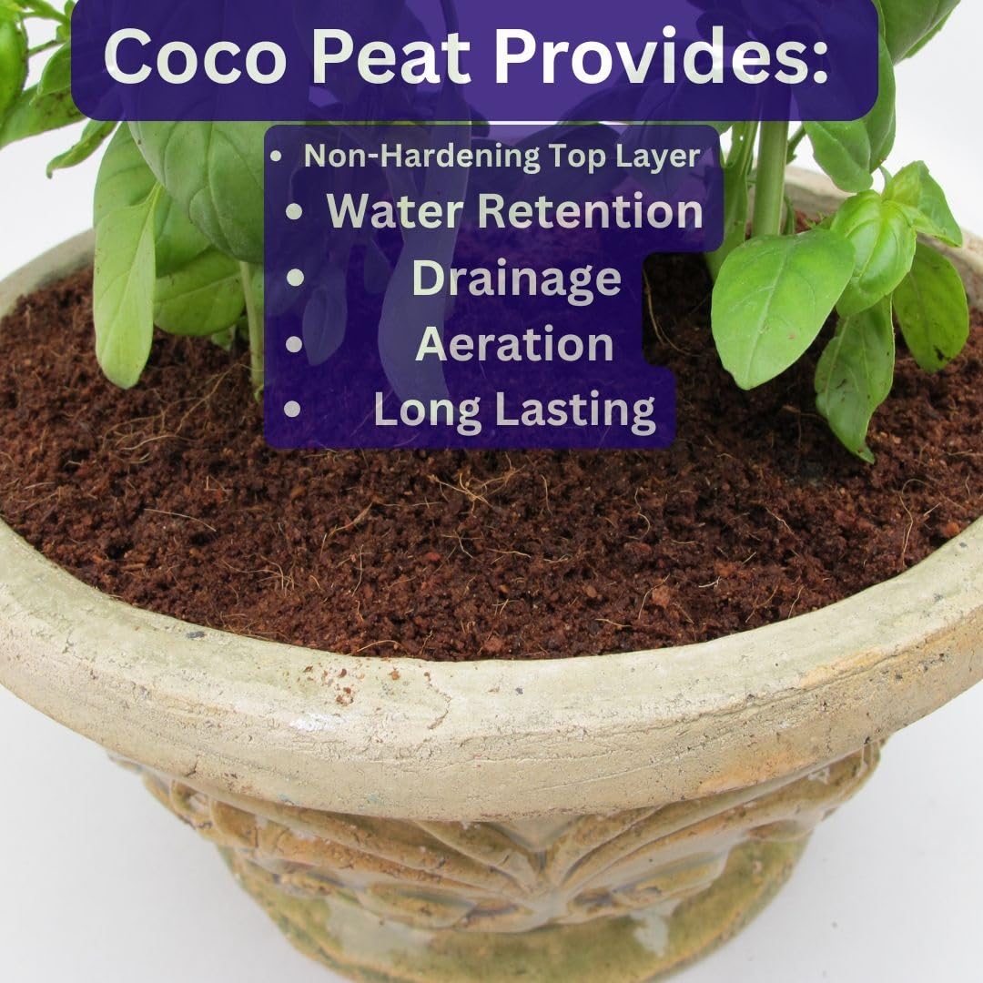SuperMoss Coco Coir Watering Ease helps precise hydration for small plants.