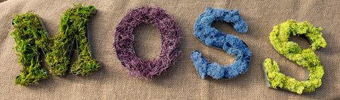 SuperMoss forest moss bulk pack ready for large arrangements.