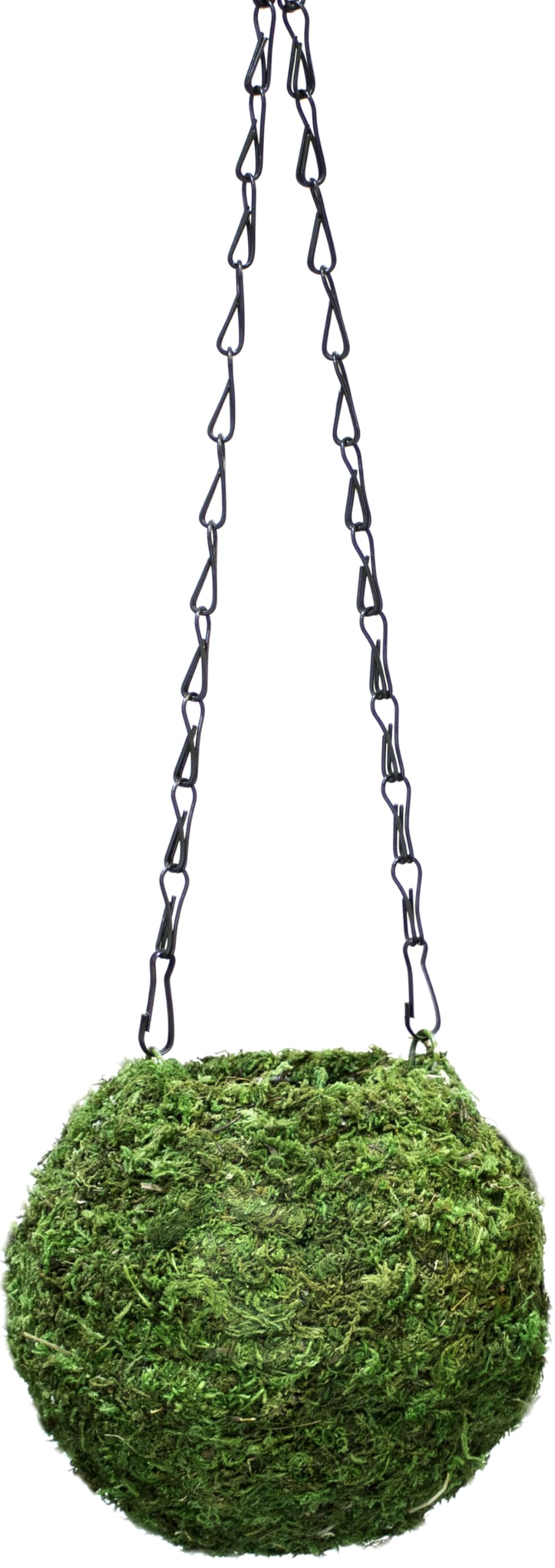 SuperMoss Kokedama Planter 6in diameter shown in a clean, modern display for indoor use.