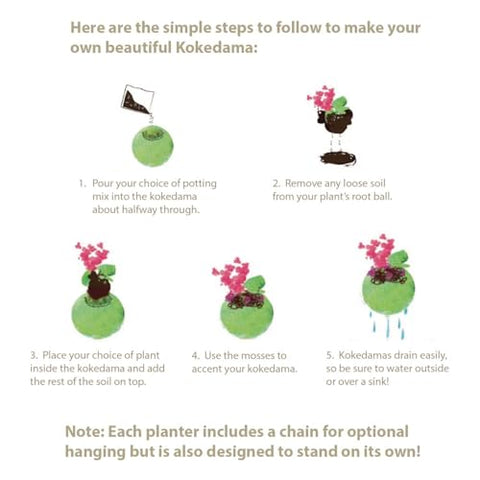 SuperMoss Kokedama Planter hanging display demonstrates space-saving indoor greenery.