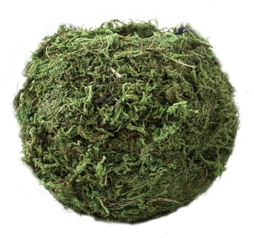 SuperMoss Kokedama Planter moss vine texture showcases natural ornamentation for living room accents.