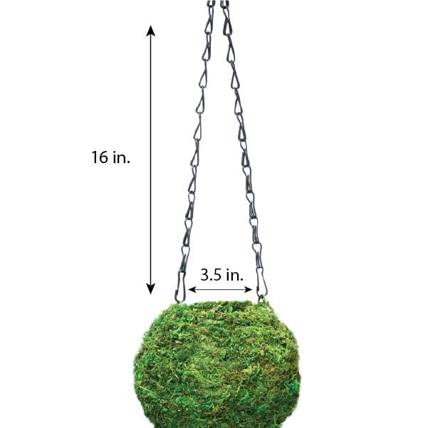 SuperMoss Kokedama Planter side view highlights woven design durability.