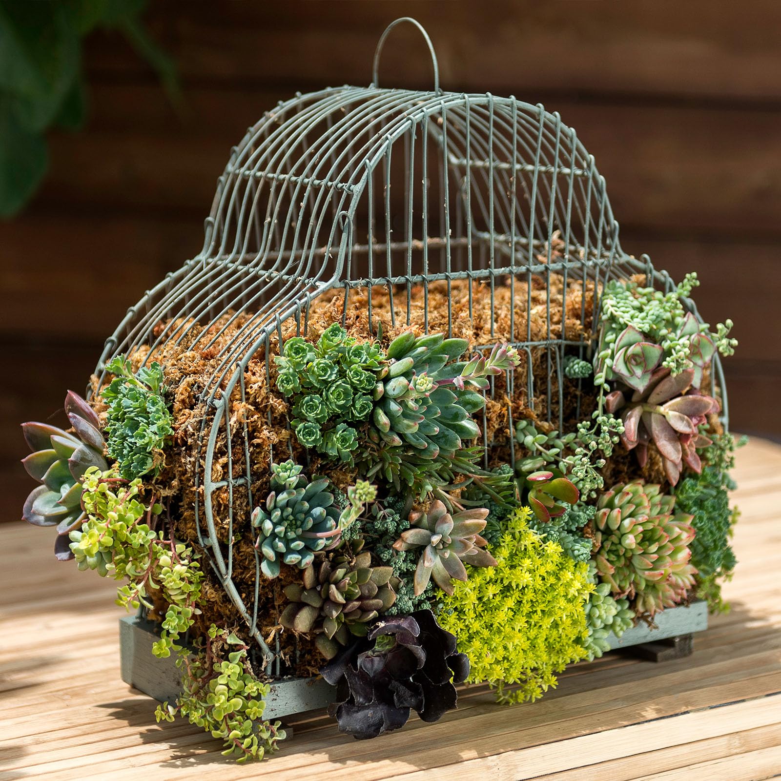 SuperMoss long fiber detail shows durability for repeated use in pots and baskets.