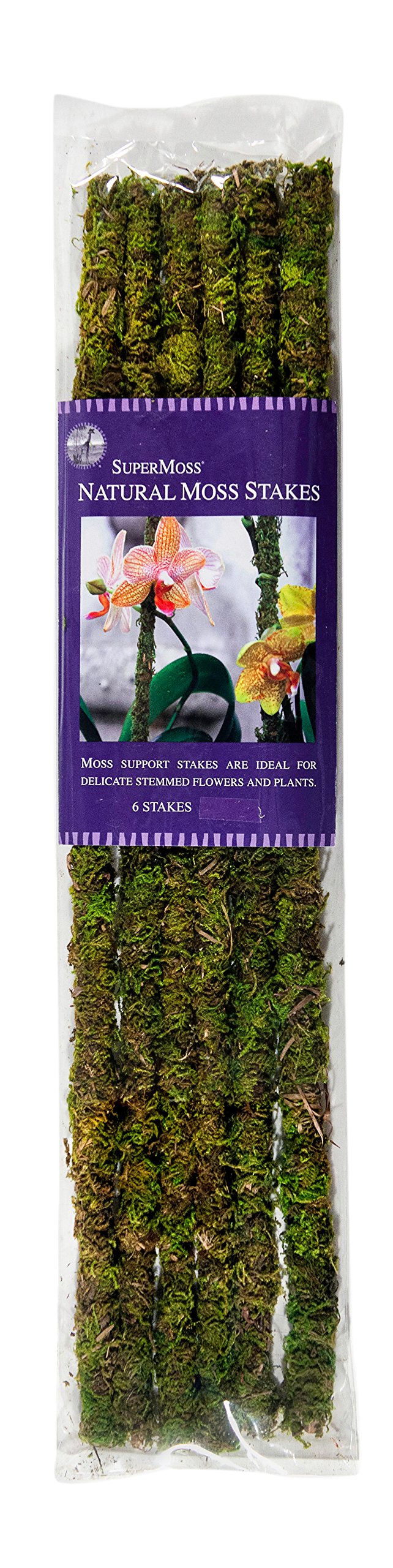 SuperMoss moss stakes, 18-inch preserved green, provide natural orchid support and elegant display.