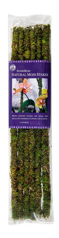SuperMoss moss stakes, 18-inch preserved green, provide natural orchid support and elegant display.