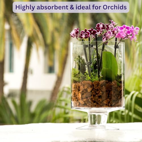 SuperMoss Orchid Bark in a potting setup supports healthy roots