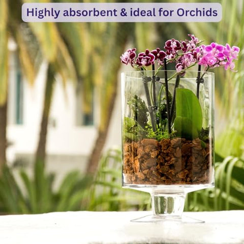 SuperMoss Orchid Bark in a potting setup supports healthy roots