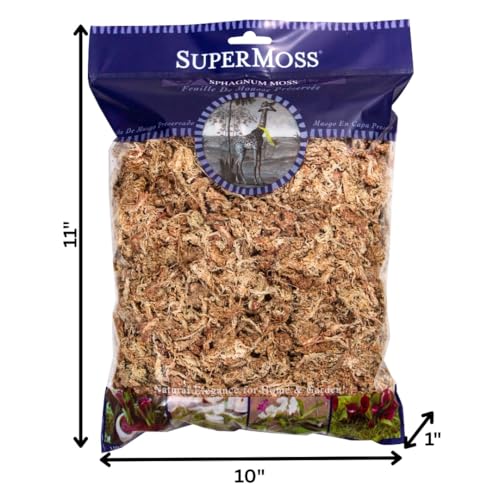SuperMoss orchid hydration image highlighting moisture-rich media for thriving orchids.