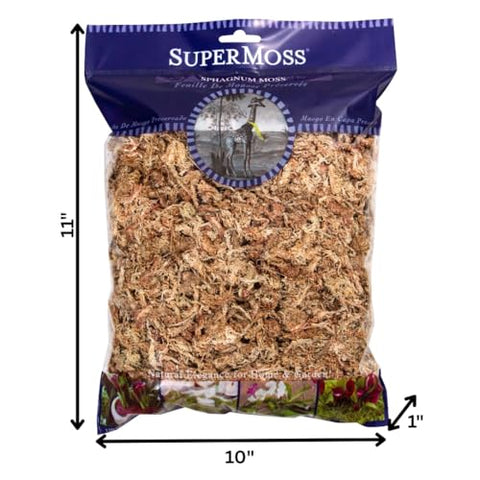 SuperMoss orchid hydration image highlighting moisture-rich media for thriving orchids.