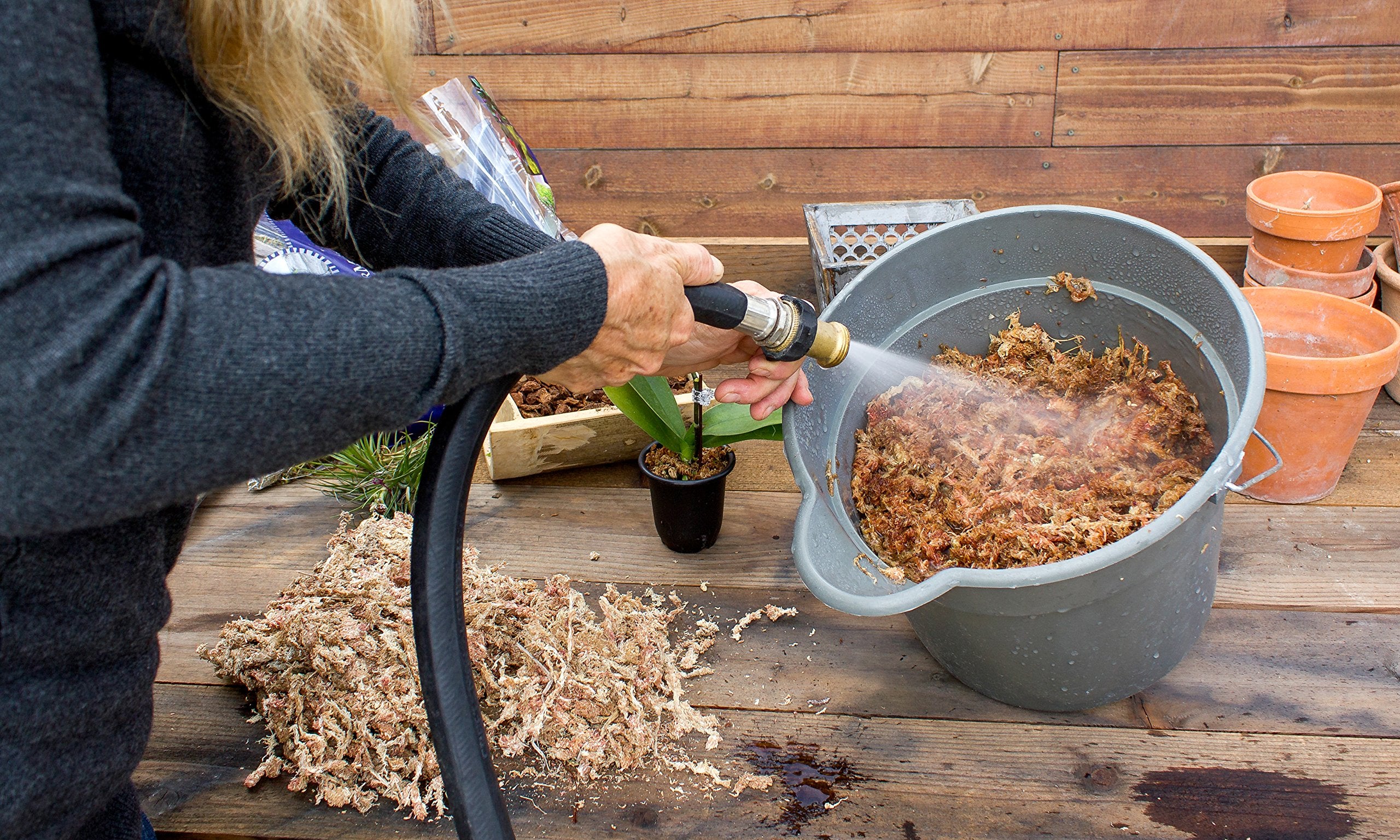 Orchid potting media using SuperMoss Orchid Sphagnum Moss Dried for aeration