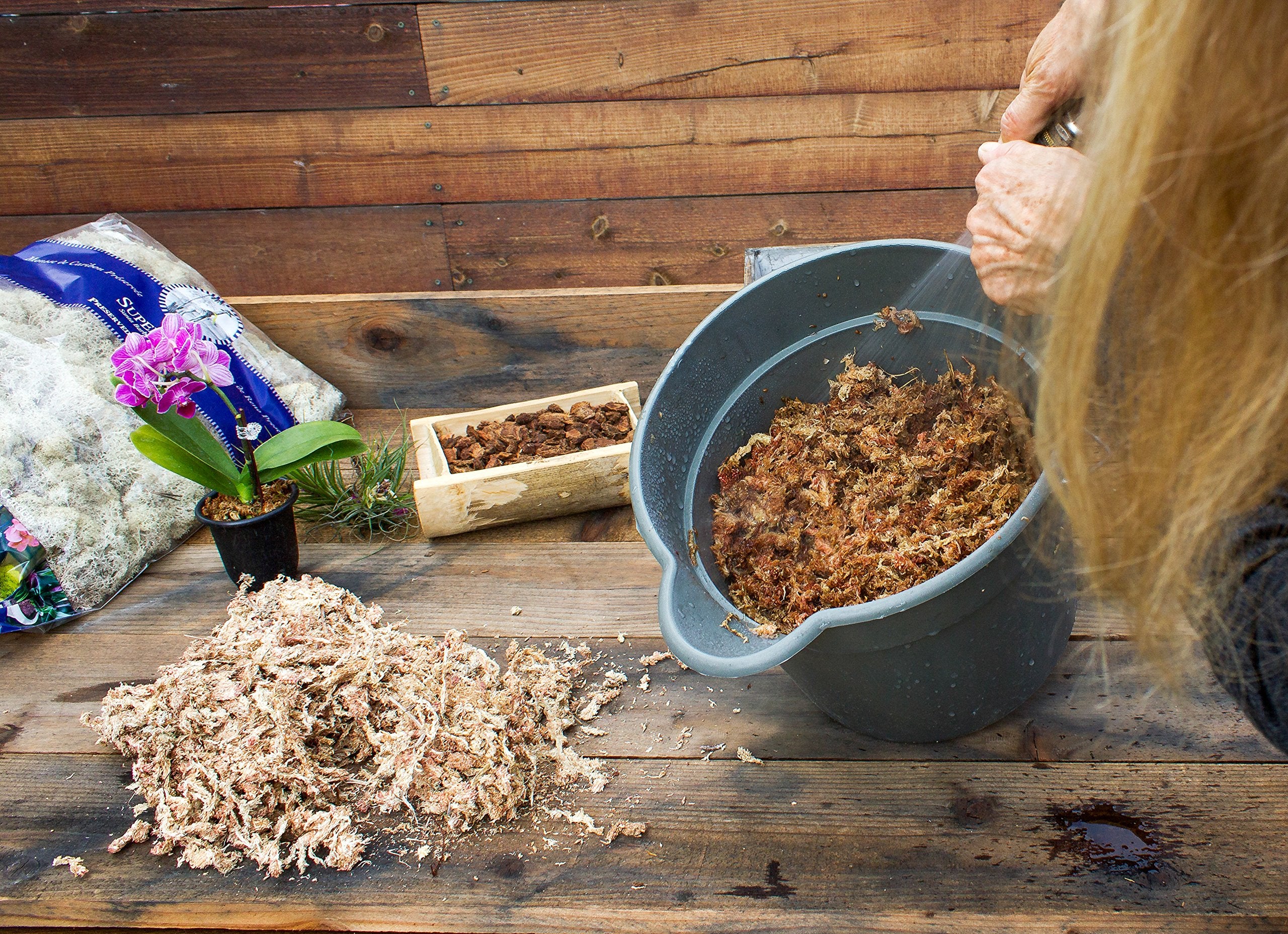 Root-oxygenation support from SuperMoss Orchid Sphagnum Moss Dried in pots