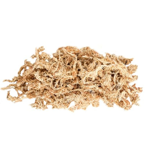 Soil-topper application of SuperMoss Orchid Sphagnum Moss Dried improves coverage