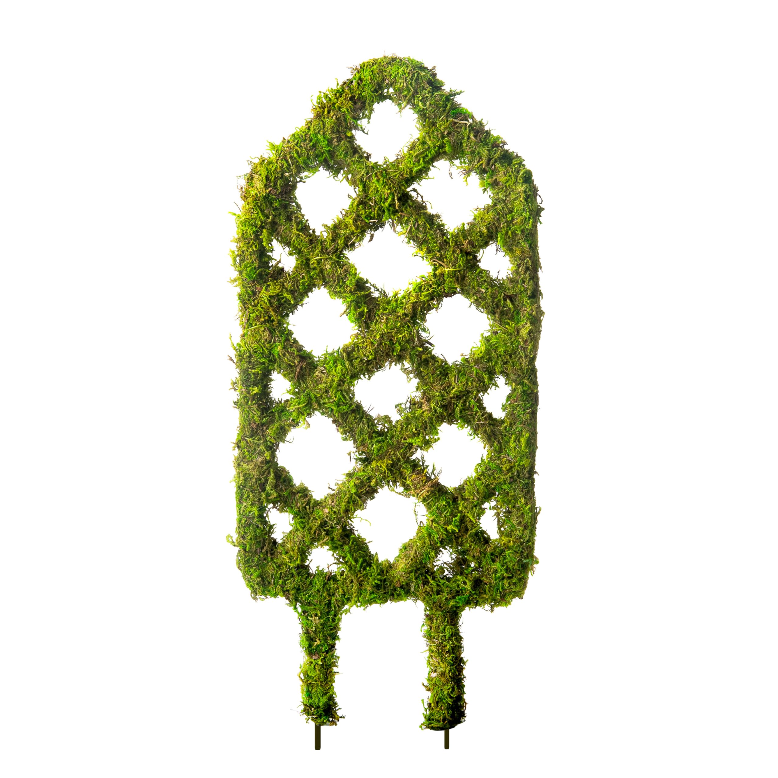 SuperMoss Plant Trellis Diamond shape front view supports tomato vines with durable moss texture.