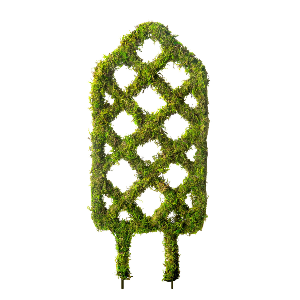 SuperMoss Plant Trellis Diamond shape front view supports tomato vines with durable moss texture.