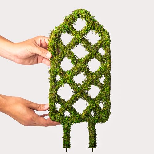 SuperMoss Plant Trellis Diamond close-up shows authentic moss for natural decor and texture.