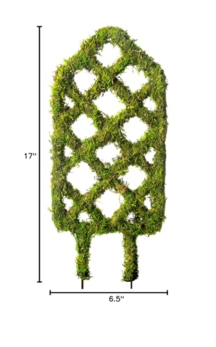 SuperMoss Garden Trellis provides sturdy support for jasmine, cucumbers, and herbs.