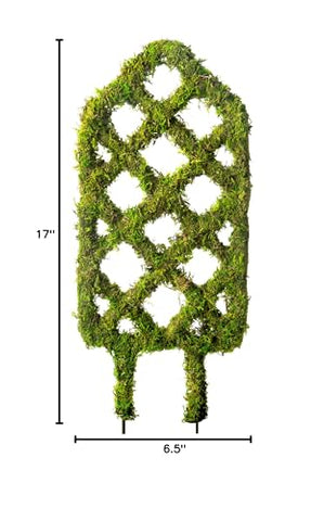 SuperMoss Garden Trellis provides sturdy support for jasmine, cucumbers, and herbs.