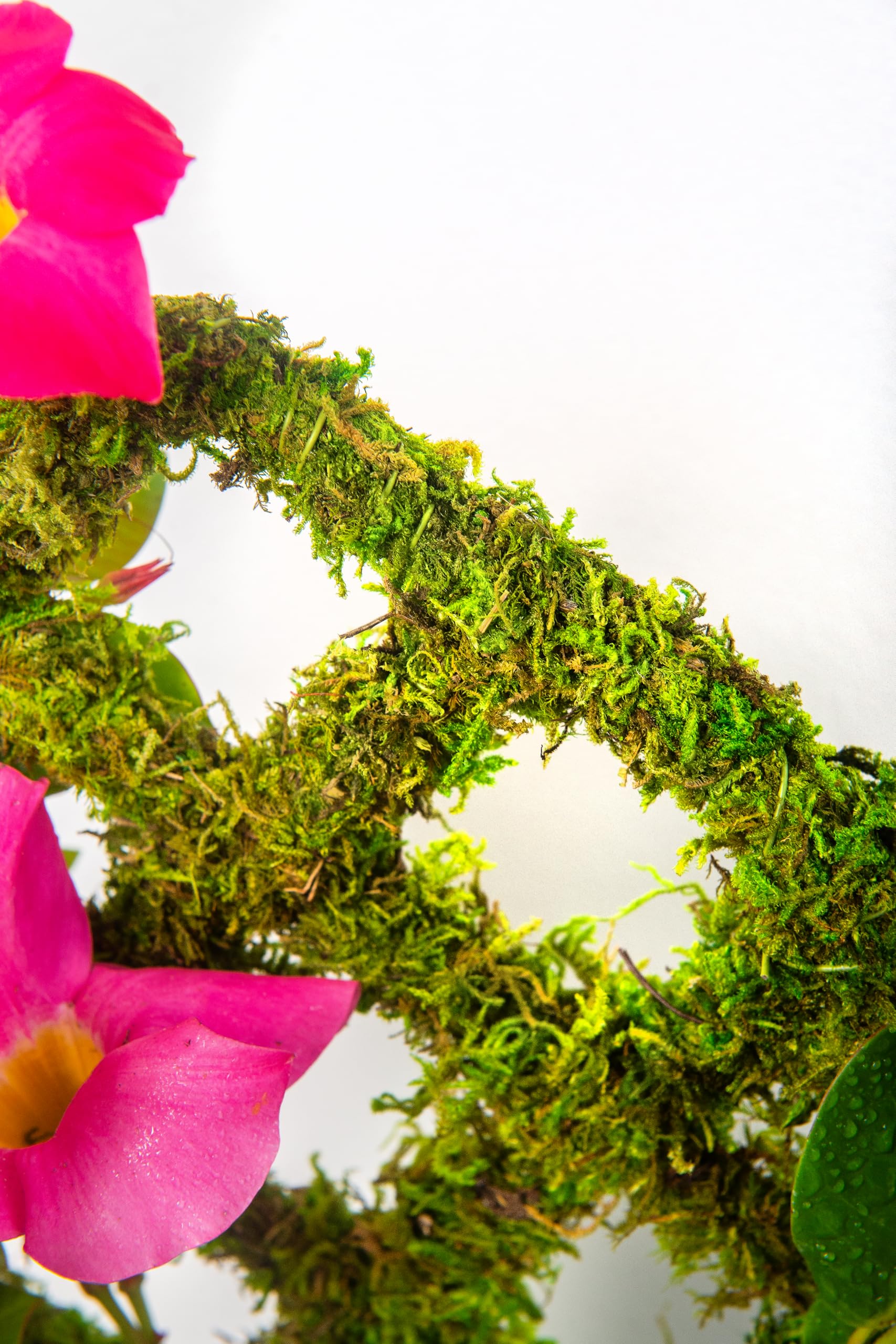 SuperMoss Plant Trellis in patio planters blends with greenery for stylish vertical growth.